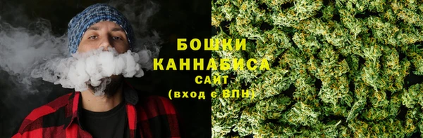 ГАЛЛЮЦИНОГЕННЫЕ ГРИБЫ Беломорск