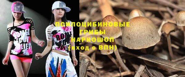 твердый Белоозёрский