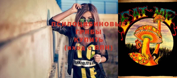 ГАЛЛЮЦИНОГЕННЫЕ ГРИБЫ Беломорск