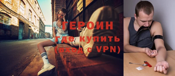 индика Богородицк