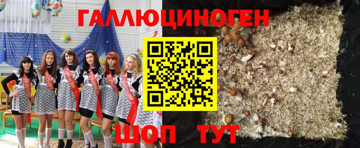 Галлюциногенные грибы ЛСД Маркс