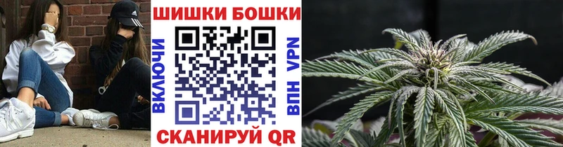 дарнет шоп mega как войти Шишки марихуана гибрид Маркс